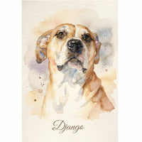 Aquarelle
